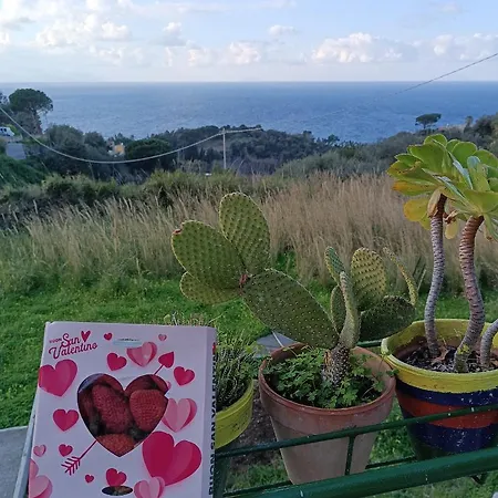 La Casa Dei Nonni